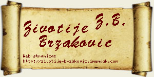 Životije Brzaković vizit kartica